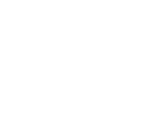 inselo-min